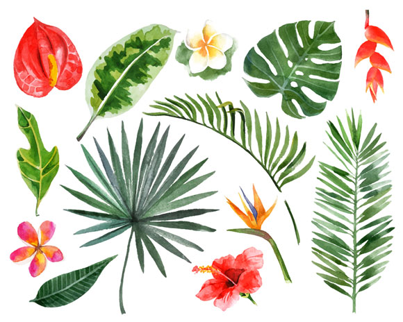 tropical plant leaves and flowers